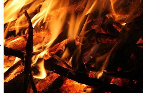 燃烧在线观看 免费,燃烧之旅等你开启  第3张