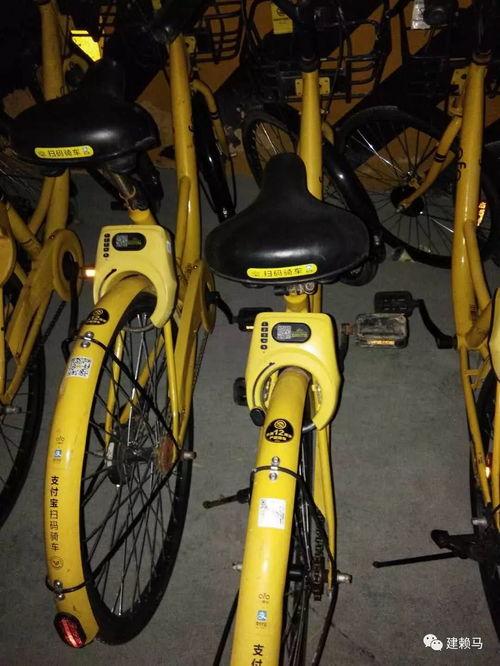 视频爆料如何强挂小黄车,视频爆料背后的秘密  第3张